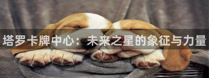 世界杯今年:塔罗卡牌中心:未来之星的象征与力量