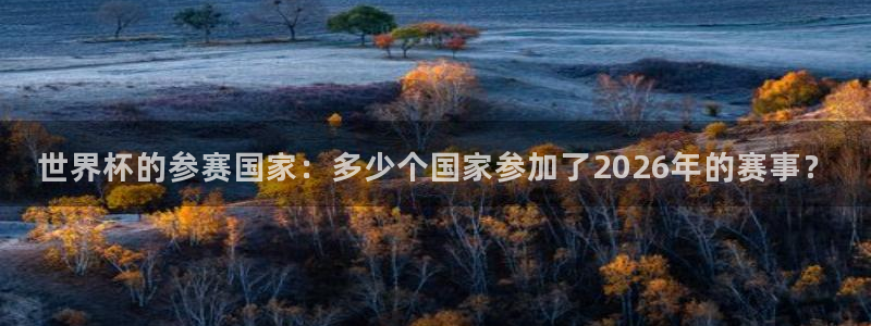 世界杯葡萄牙赛程:世界杯的参赛国家:多少个国家参加了2026年的赛事?