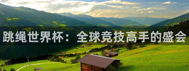 足球世界杯预选赛:跳绳世界杯:全球竞技高手的盛会
