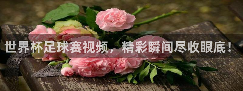 世界杯对阵表:世界杯足球赛视频,精彩瞬间尽收眼底!