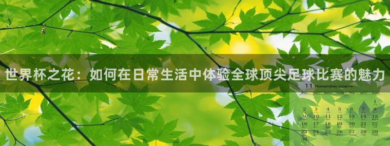 女足世界杯直播在线观看免费高清:世界杯之花:如何在日常生活中体验全球顶尖足球比赛的魅力