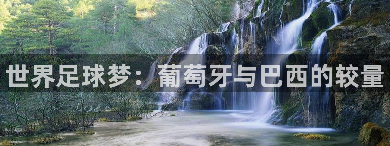 世界杯小组赛赛程:世界足球梦:葡萄牙与巴西的较量