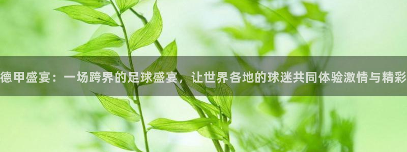 国际足联世界杯:德甲盛宴:一场跨界的足球盛宴,让世界各地的球迷共同体验激情与精彩