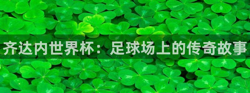 世界杯今年:齐达内世界杯:足球场上的传奇故事