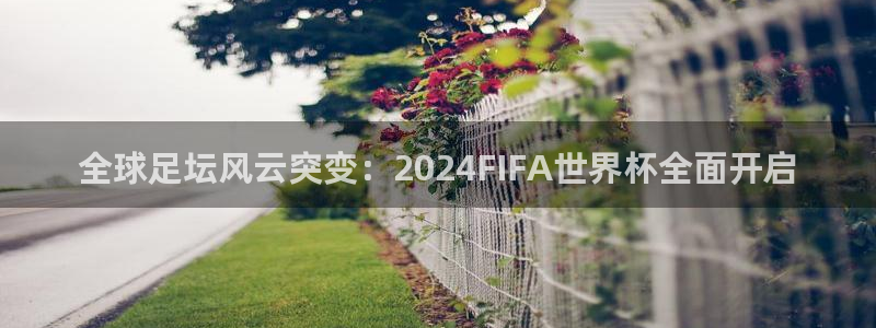 世界杯预选赛亚洲区积分榜:全球足坛风云突变:2024FIFA世界杯全面开启